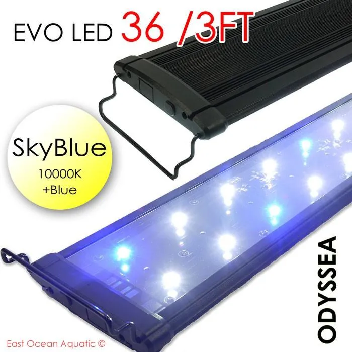 ODYSSEA EVO Led 36 72W Skyblue (10000K blue)